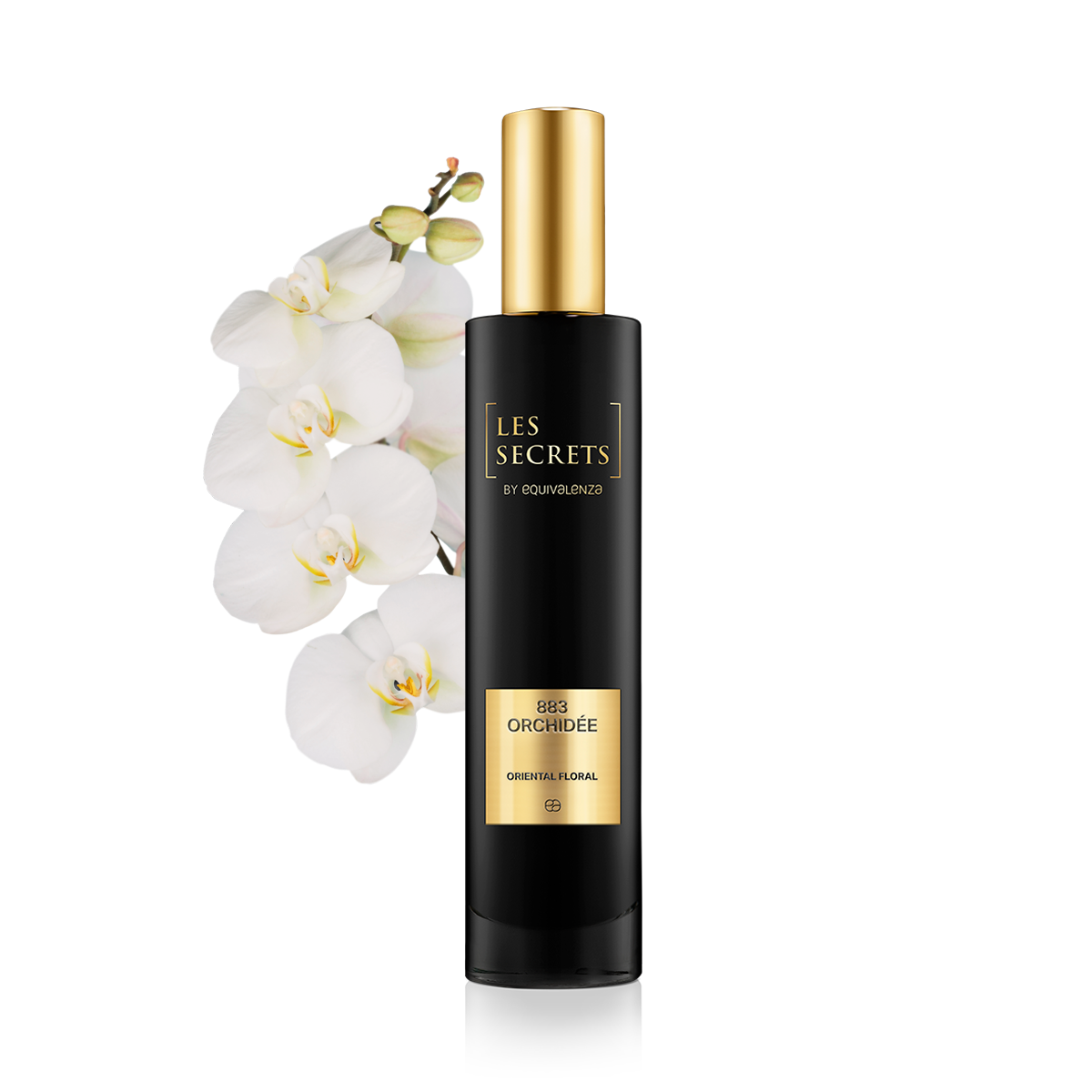 ORCHIDÉE — 2