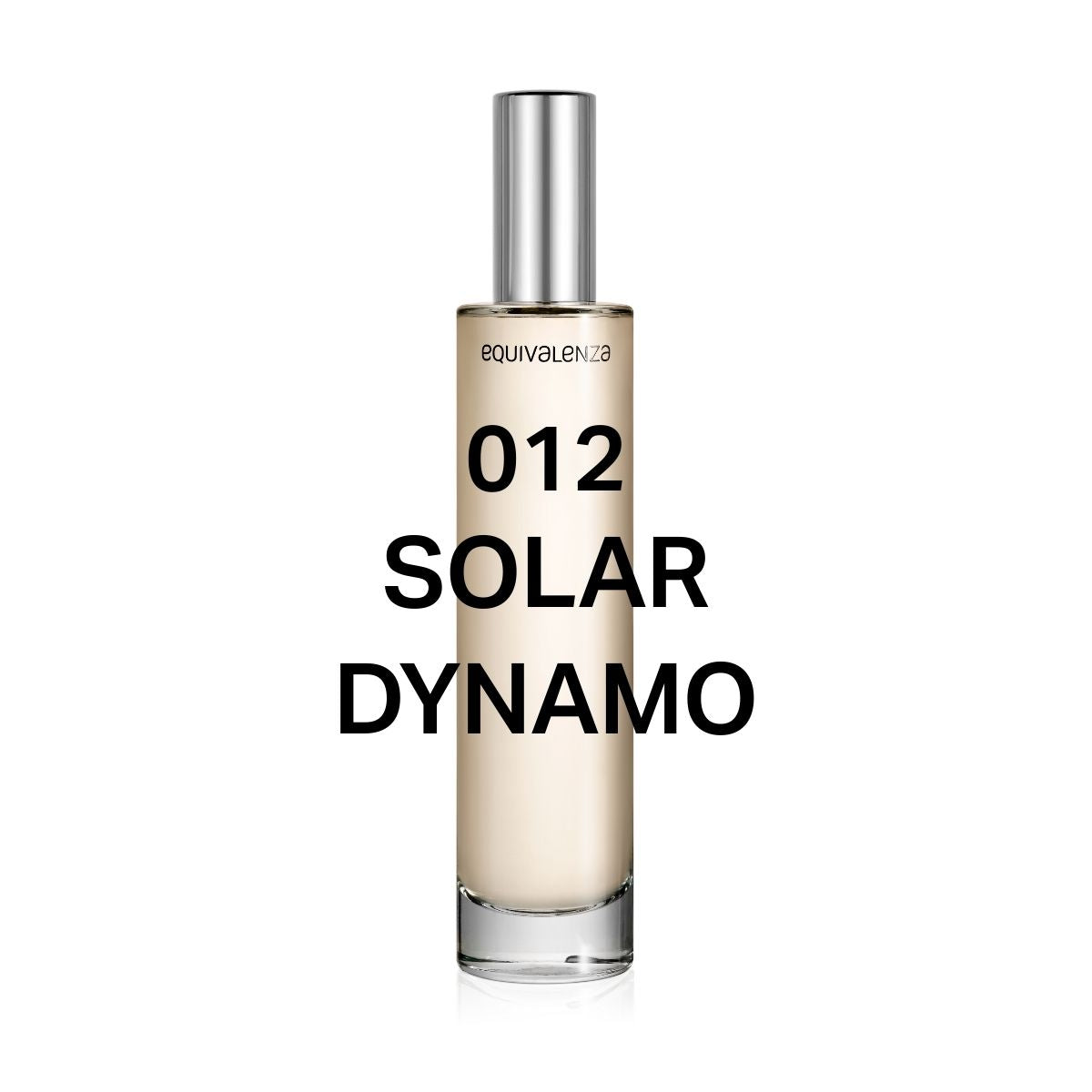 Solar Dynamo — 2