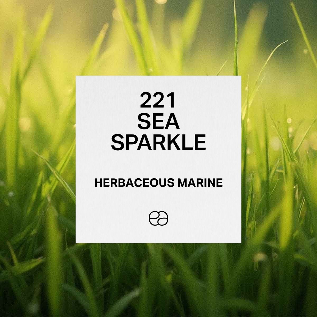 Sea Sparkle